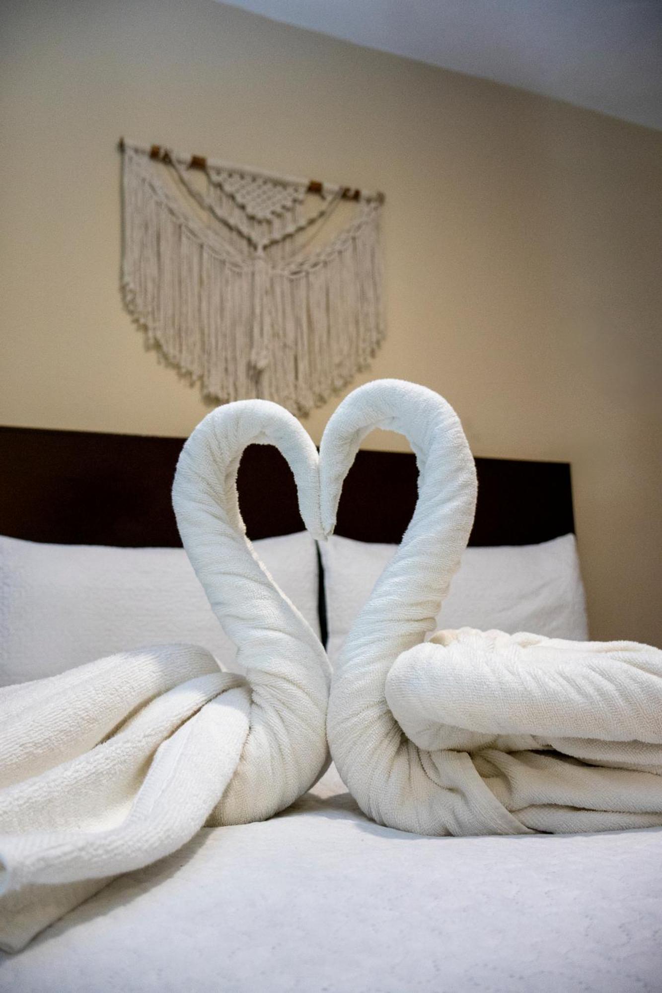 Ammare Hotel Boutique Плайя-дель-Кармен Екстер'єр фото