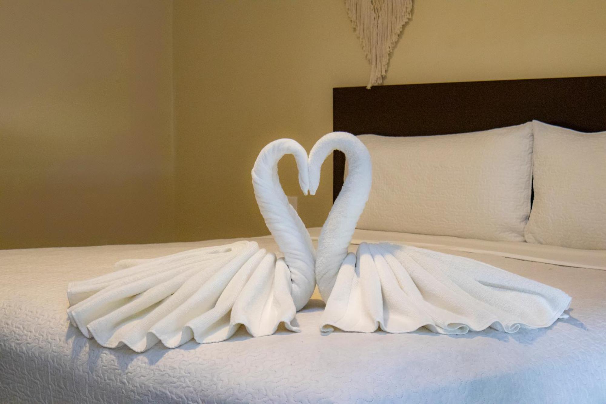 Ammare Hotel Boutique Плайя-дель-Кармен Екстер'єр фото